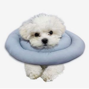 Pet cone, soft dog, cat donut collar for post surgery, pet recovery coll…